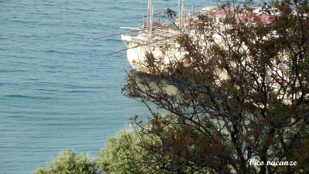 Vico Vacanze 2*