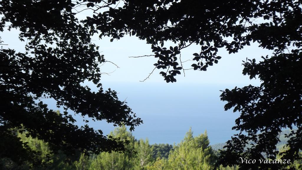 Vico Vacanze 2*