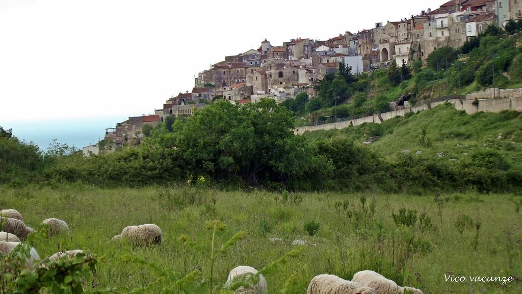 Vico Vacanze 2*