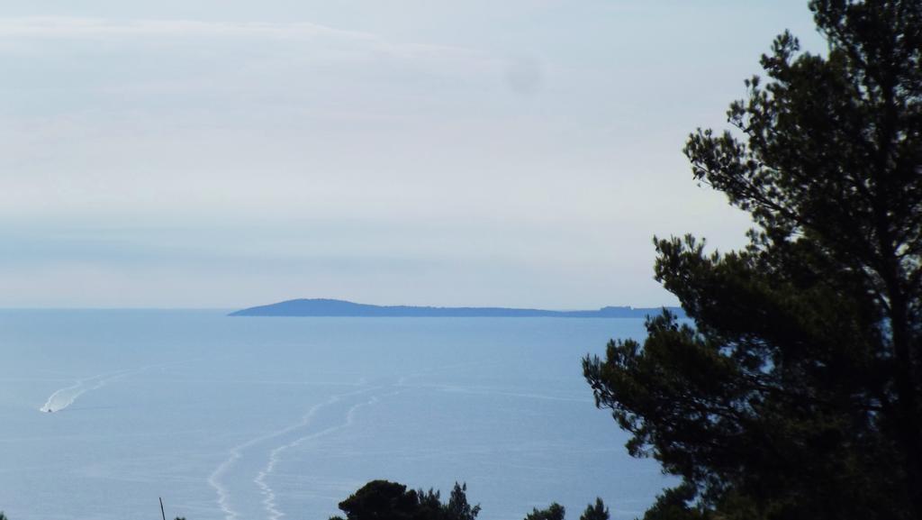 Frühstückspension Vico Vacanze Vico Del Gargano
