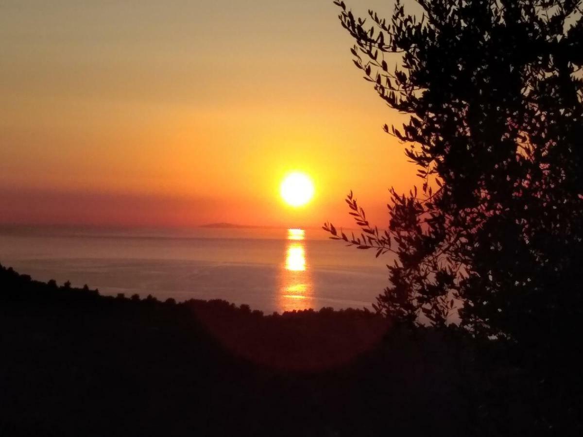 Vico Vacanze Frühstückspension